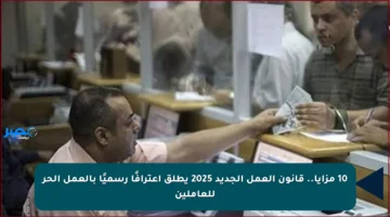 10 مزايا.. قانون العمل الجديد 2025 يطلق اعترافًا رسميًا بالعمل الحر للعاملين